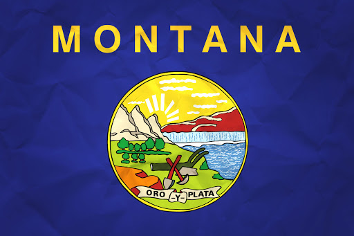 Montana tells court: Planned Parenthood’s request to stop laws protecting women falls flat