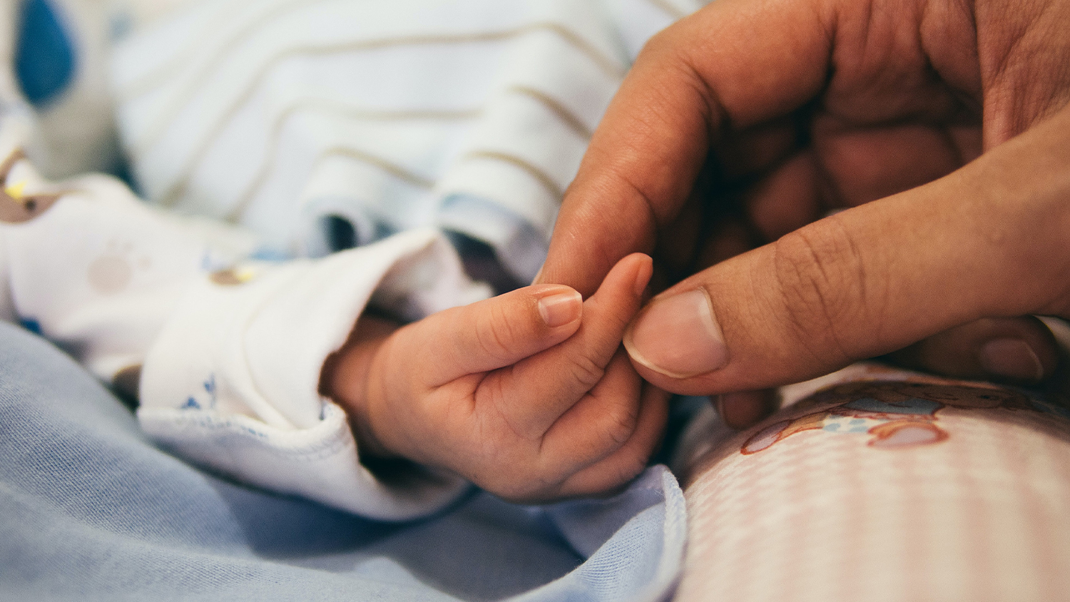 Wyoming Right to Life, legislators to appeal to court to intervene in defense of state pro-life law