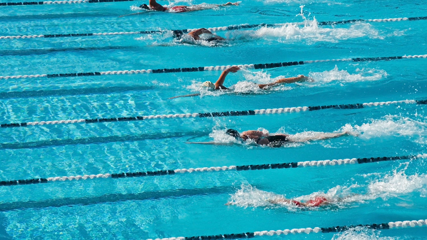 ADF joins letter to NCAA urging fairness, equality in women’s sports
