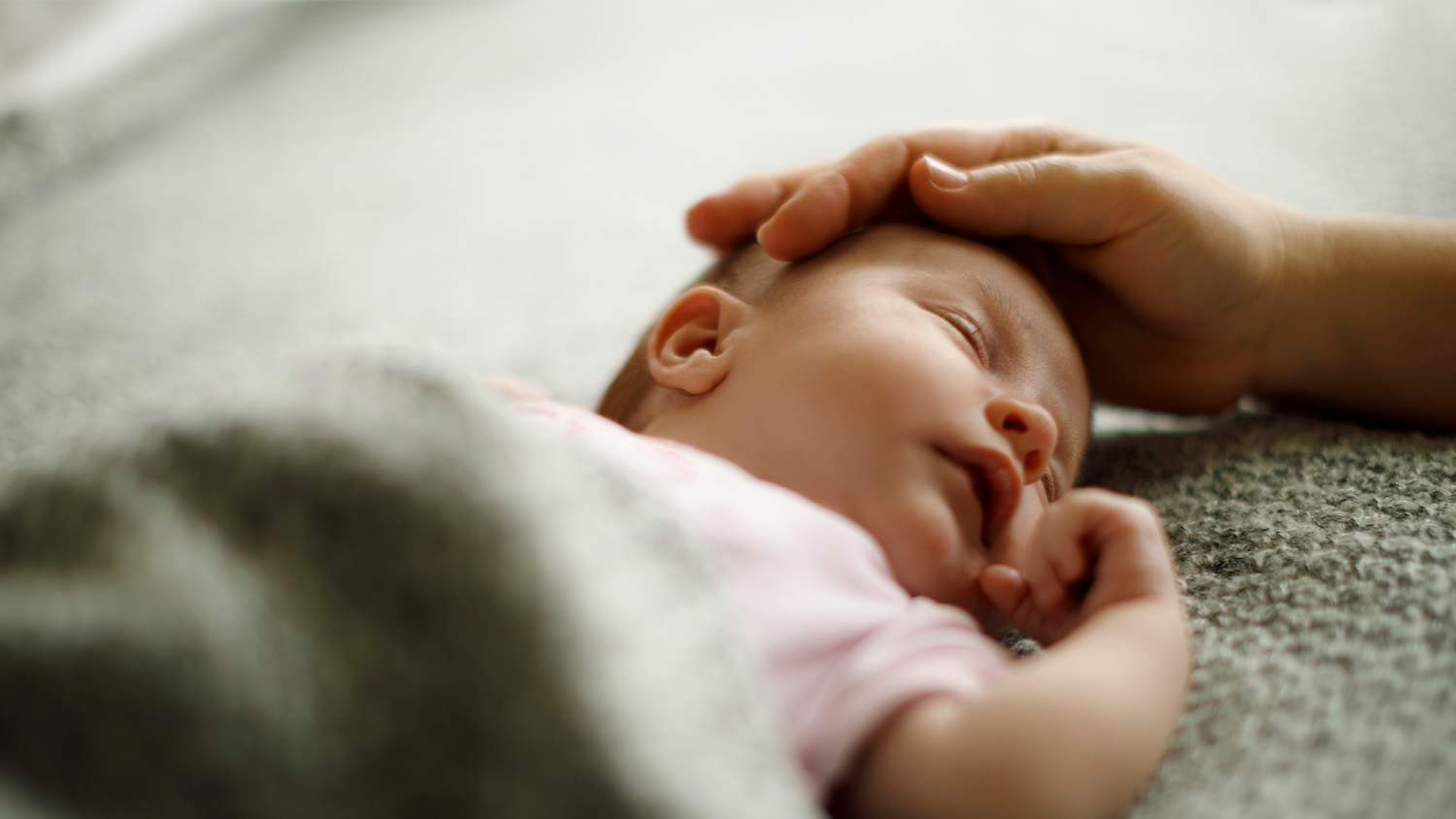 Montana seeks to save innocent lives from barbaric procedure